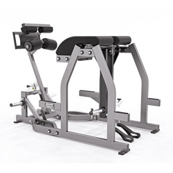 腹、背、臀肌、腘繩肌、俯身后伸腿訓練器