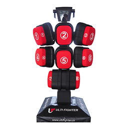 擊打力訓練測試系統Step & Punch